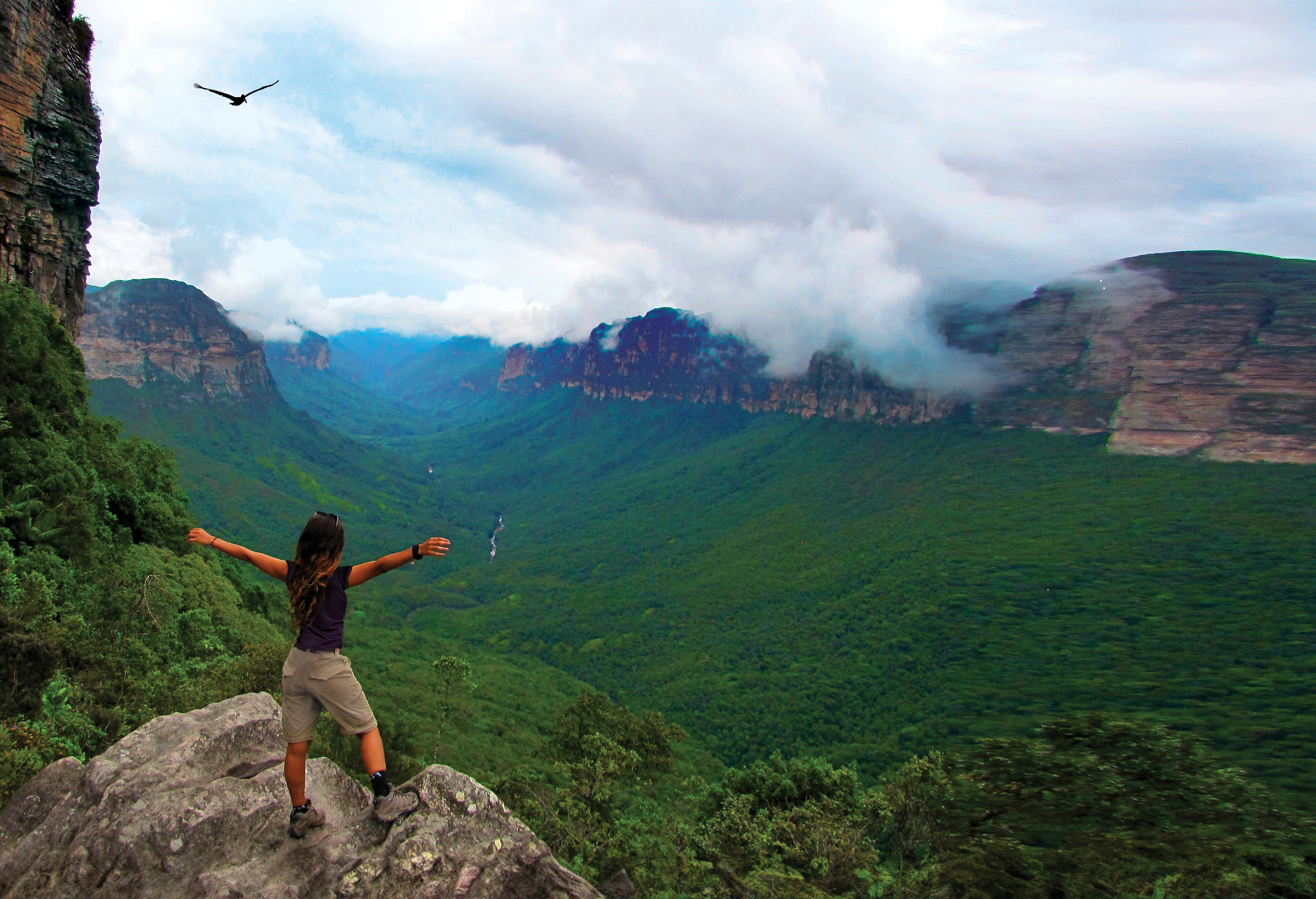 כריכת הספר צעד לעבר היעד